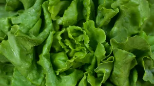 Rețeta de cinci stele de salată verde cu năut, feta și avocado recomandată de The New York Times