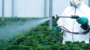 Expunerea la pesticide poate dubla riscul de astm
