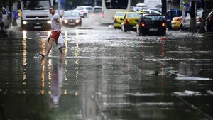 URMĂRILE FURTUNII DIN BUCUREŞTI: 11 copaci căzuţi şi mai multe maşini avariate - GALERIE FOTO