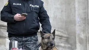 Misiune „specială” la Galaţi. Pirotehniştii au aruncat în aer o pungă de mălai