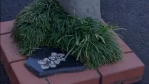 Cel mai mic parc din lume are dimensiunea a patru coli de hârtie A4. Cum arată şi în ce ţară se găseşte