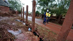 Ambasadorul Ungariei: România a primit toate informaţiile; nu e o catastrofă ecologică, ci umană