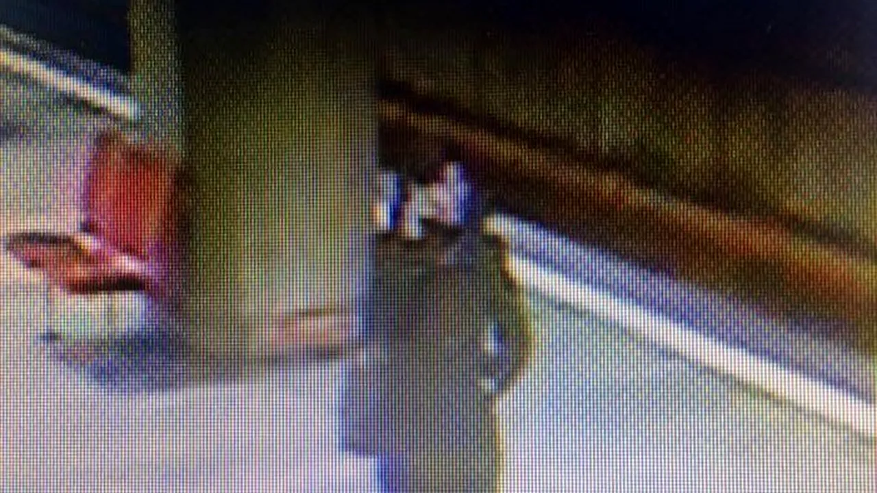 Agresoarea de la metrou a fost arestată preventiv pentru 30 de zile