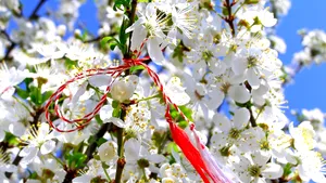 1 martie. Tradiţii şi obiceiuri de sărbătoarea mărţişorului