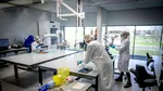Noul test ADN care ar putea prezice cancerul înainte ca acesta să se dezvolte