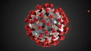 NYT: Informaţiile false despre coronavirus se extind în mediile de socializare online