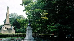 Primăria Iaşi: Gestul Monicăi Macovei de a aduce tei, manipulare; până în 2016 plantăm 10.000 de tei