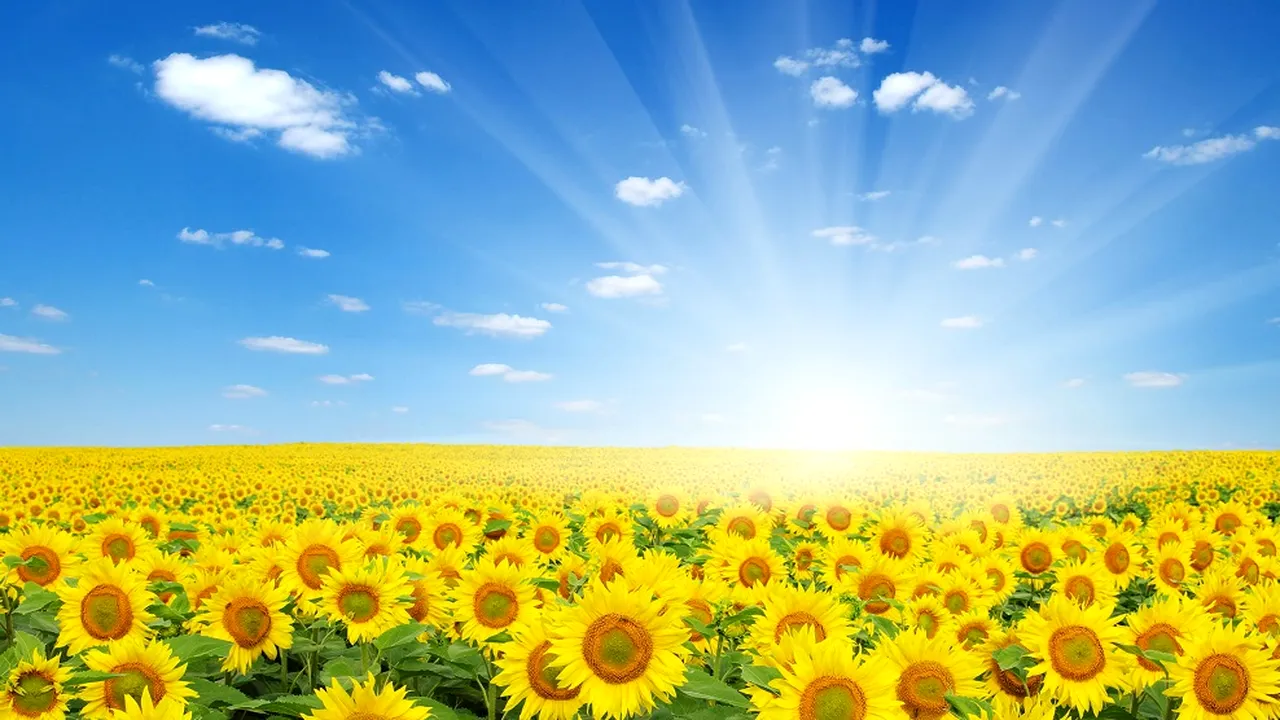 Vremea se va menţine călduroasă, caniculară la orele amiezii. Zonele din ţară, unde va ploua. PROGNOZA METEO pentru weekend