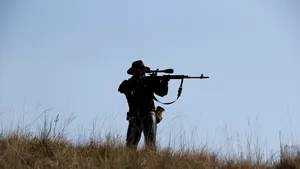 Patru persoane sunt cercetate PENAL după ce au vânat un mistreţ cu pestă porcină şi l-au gătit