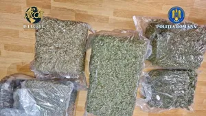 Patru bărbați prinși când ridicau colete cu 41 de kilograme de canabis