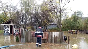 Efectele CODULUI GALBEN | Două persoane, rănite în Capitală/ 146 de copaci au căzut peste aproape 85 de maşini / Acoperişuri şi panouri, luate de vânt. Pompierii intervin în zonele afectate - FOTO, VIDEO