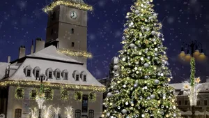 Romsilva vinde peste 16.000 de pomi de Crăciun. Cât costă un brad pentru împodobit