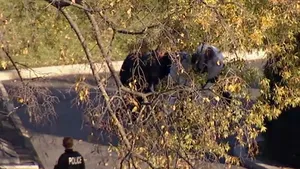 INCIDENT la Casa Albă: Un bărbat a sărit gardul şi a intrat pe peluză, în timp ce familia Obama sărbătorea Ziua Recunoştinţei - FOTO, VIDEO