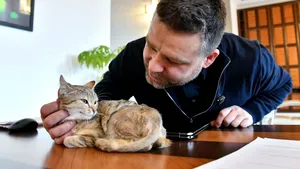 Primăria Capitalei are o angajată nouă: pisicuța Cathy, noua secretară a primarului Ciucu