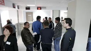 Gândul: Permise de conducere 