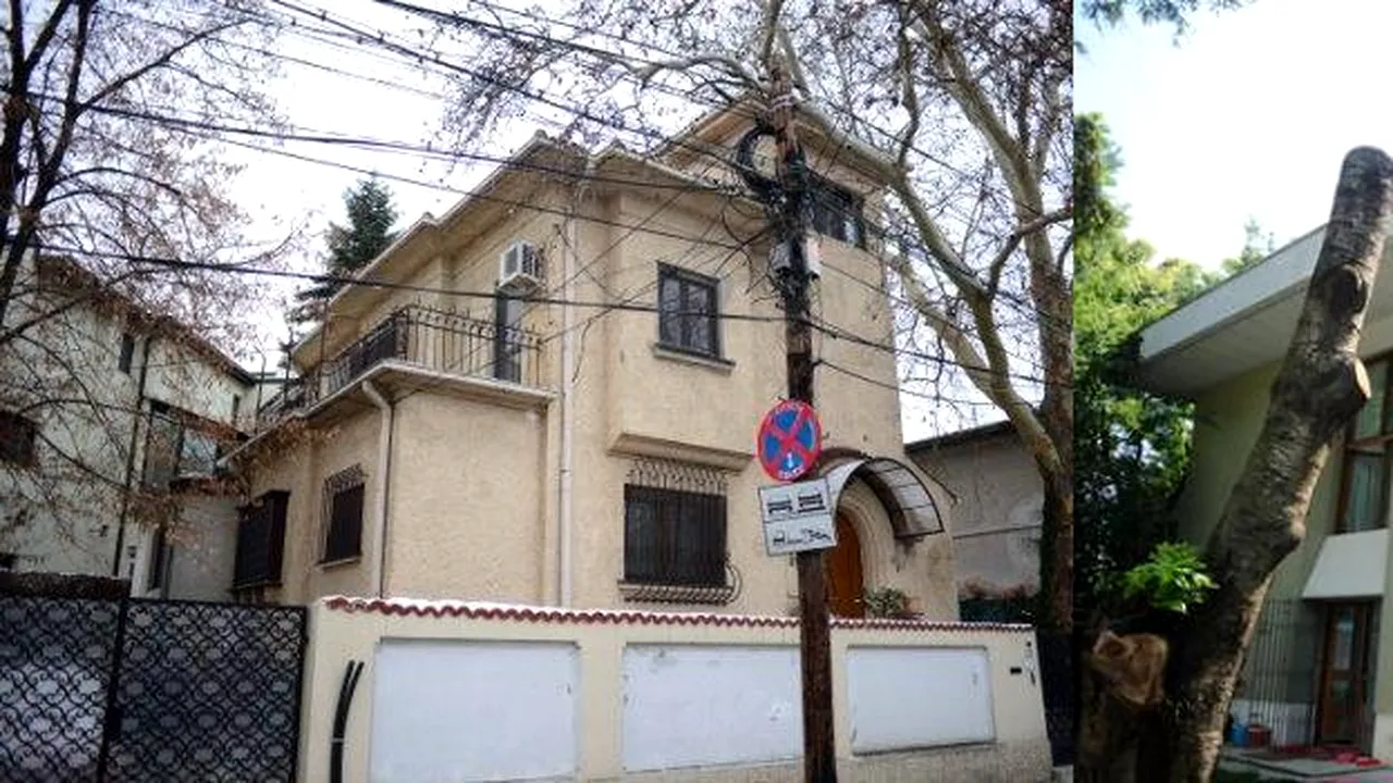 Dezbatere GÂNDUL LIVE: Guvernul publică lista chiriaşilor RA-APPS