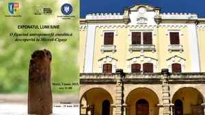 Statuetă din perioada eneoliticului, expusă la Muzeul Național al Unirii din Alba Iulia