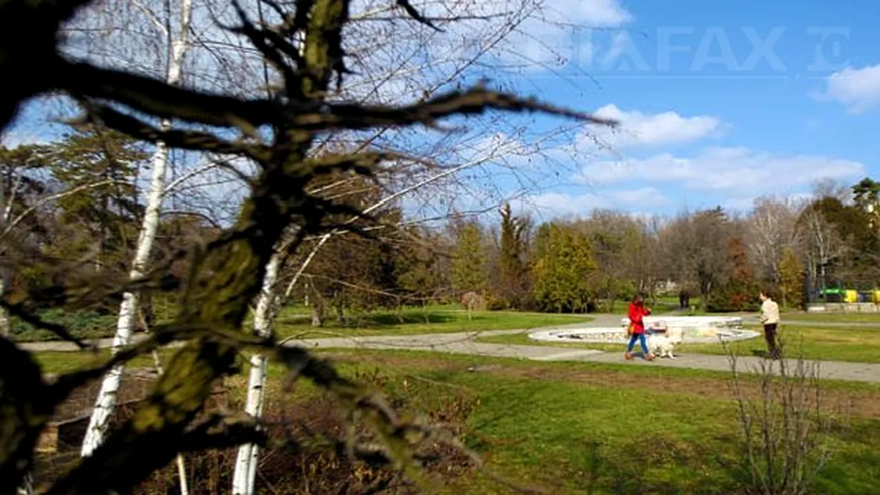 VREMEA se va încălzi. PROGNOZA METEO pentru miercuri şi joi în ţară şi în Bucureşti