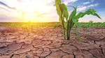 Sudul României intră într-o perioadă secetoasă, anunță meteorologii