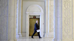 Ce mai cumpără instituţiile din România: produse de lustruire şi curăţare, aparat foto, 9.600 de bilete de avion