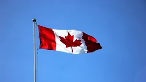 Canada impune restricţii de circulaţie pe ocean pentru a proteja o balenă pe cale de dispariţie