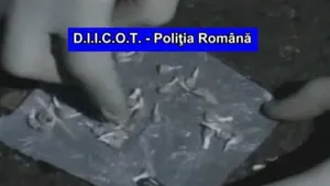 Lideri şi membri ai clanurilor 