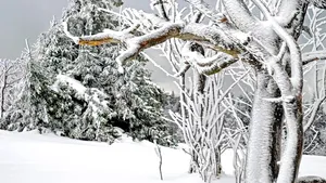 Ninsoarea și viscolul au împiedicat apariția unui ziar pentru prima dată în 153 de ani