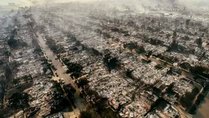 O victimă a incendiilor din ianuarie din Los Angeles a fost descoperită în aprilie