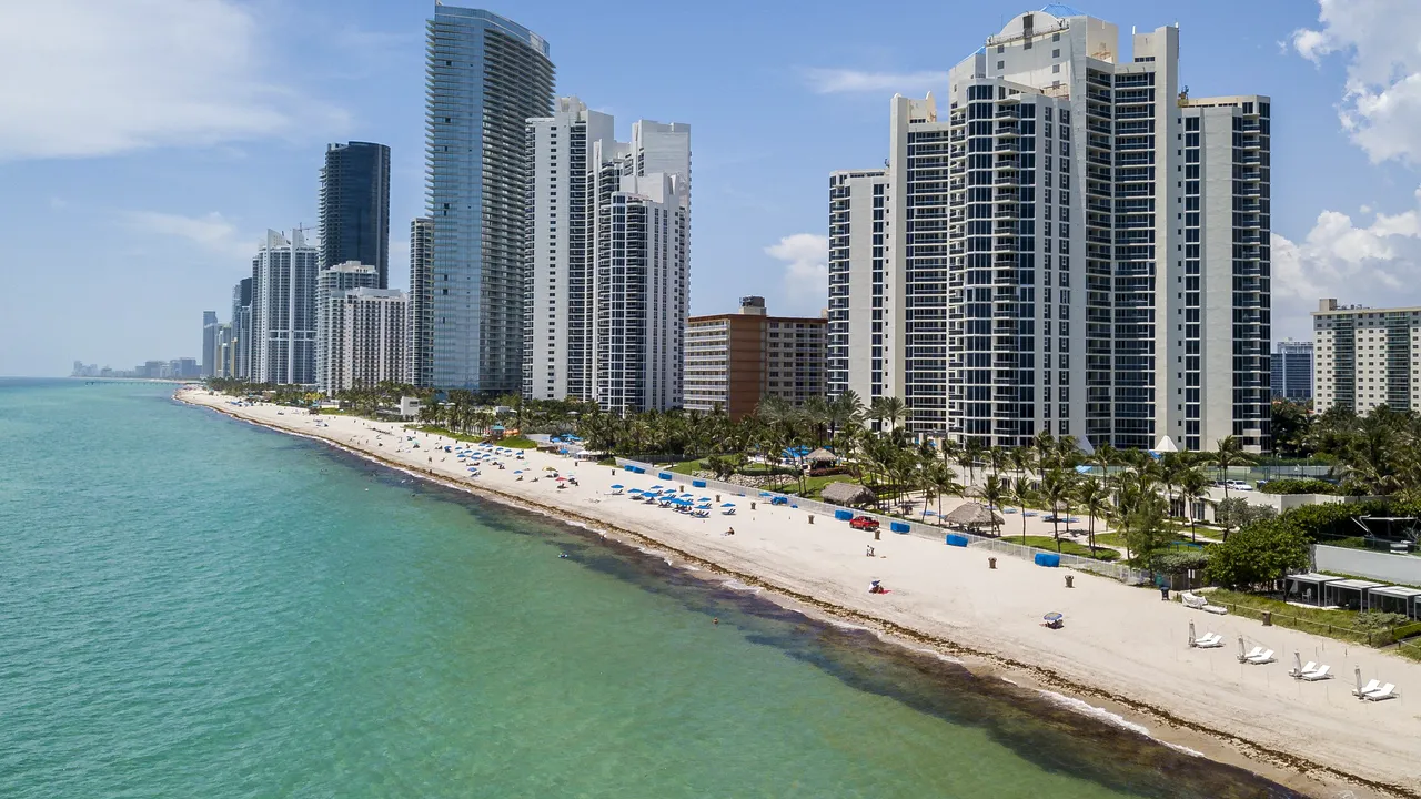 Alge toxice ameninţă plajele din Florida, activiştii de mediu cer măsuri de urgenţă