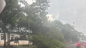 Cod Portocaliu de vreme rea în Capitală. A fost emis un nou mesaj RO-ALERT