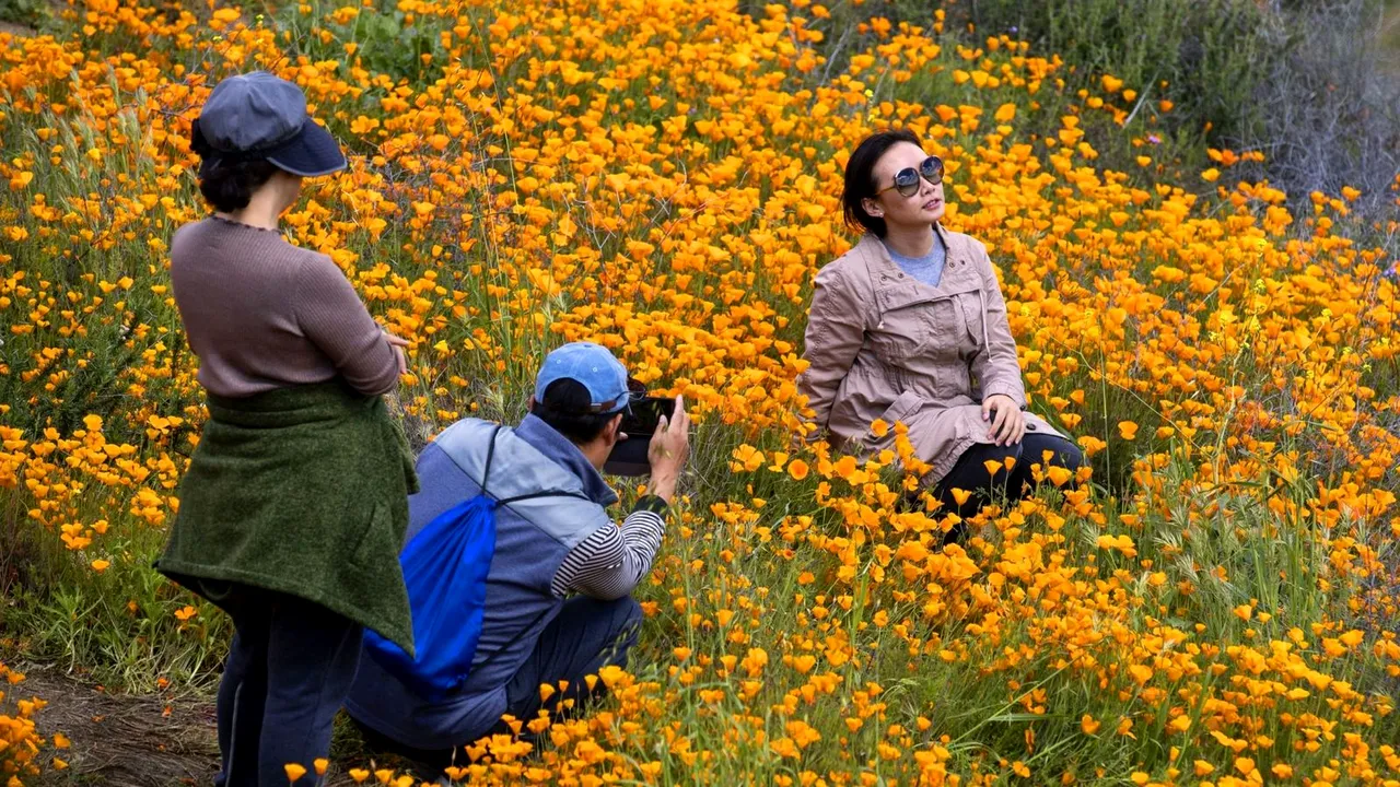 „Invazia selfie-urilor” creează haos într-un orăşel din California. Motivul pentru care autorităţile anunţă interzicerea accesului în zonă | VIDEO