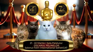 „Oscarurile lumii feline” se decernează în acest weekend la București. Campioni din toată Europa vin la Salonul SofistiCAT