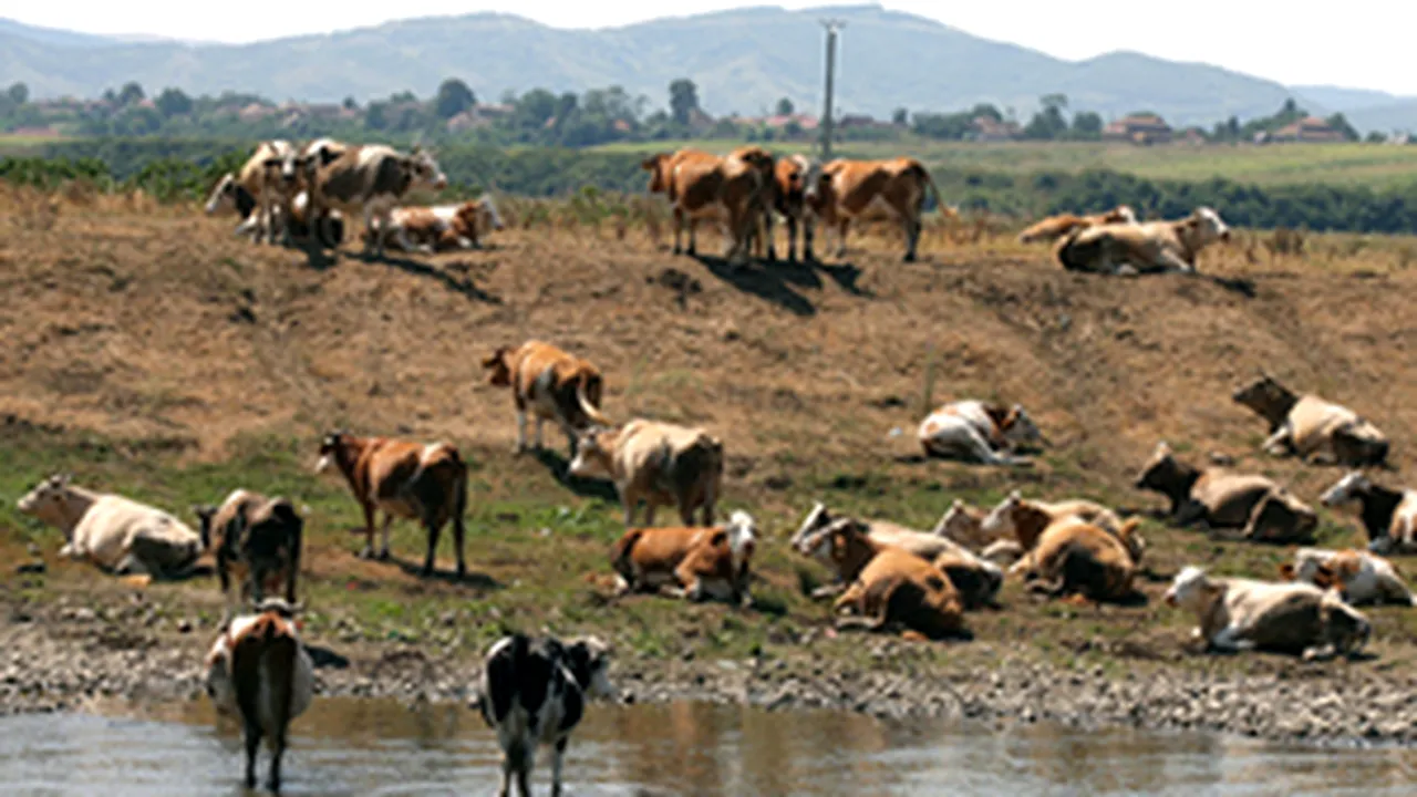 Romanian Agr Ministry Assigns RON70M To Support Farmers
