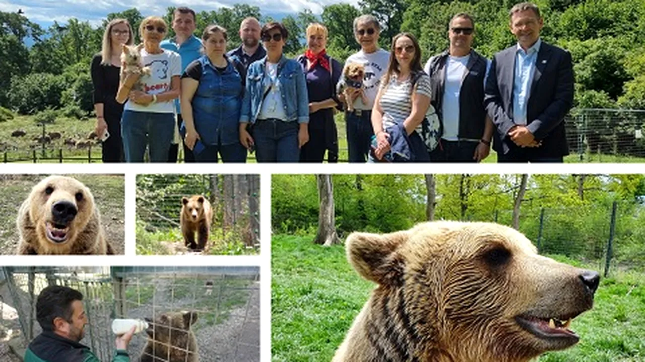 TotalEnergies Romania adoptă un ursuleţ din Sanctuarul Libearty Zărneşti