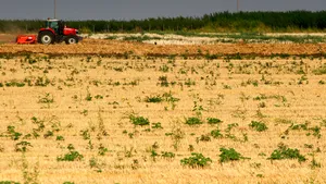 Înşelătorie la hectar? Oros: Suprafeţele declarate de fermieri drept calamitate de secetă le depăşesc pe cele însămânţate
