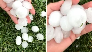 Urmările codului ROŞU de fenomene meteo periculoase: Grindină de mărimea unui ou, într-o localitate din Timiş | FOTO, VIDEO