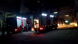 Incendiu puternic la Termocentrala de la Turceni. Blocul energetic 4, oprit