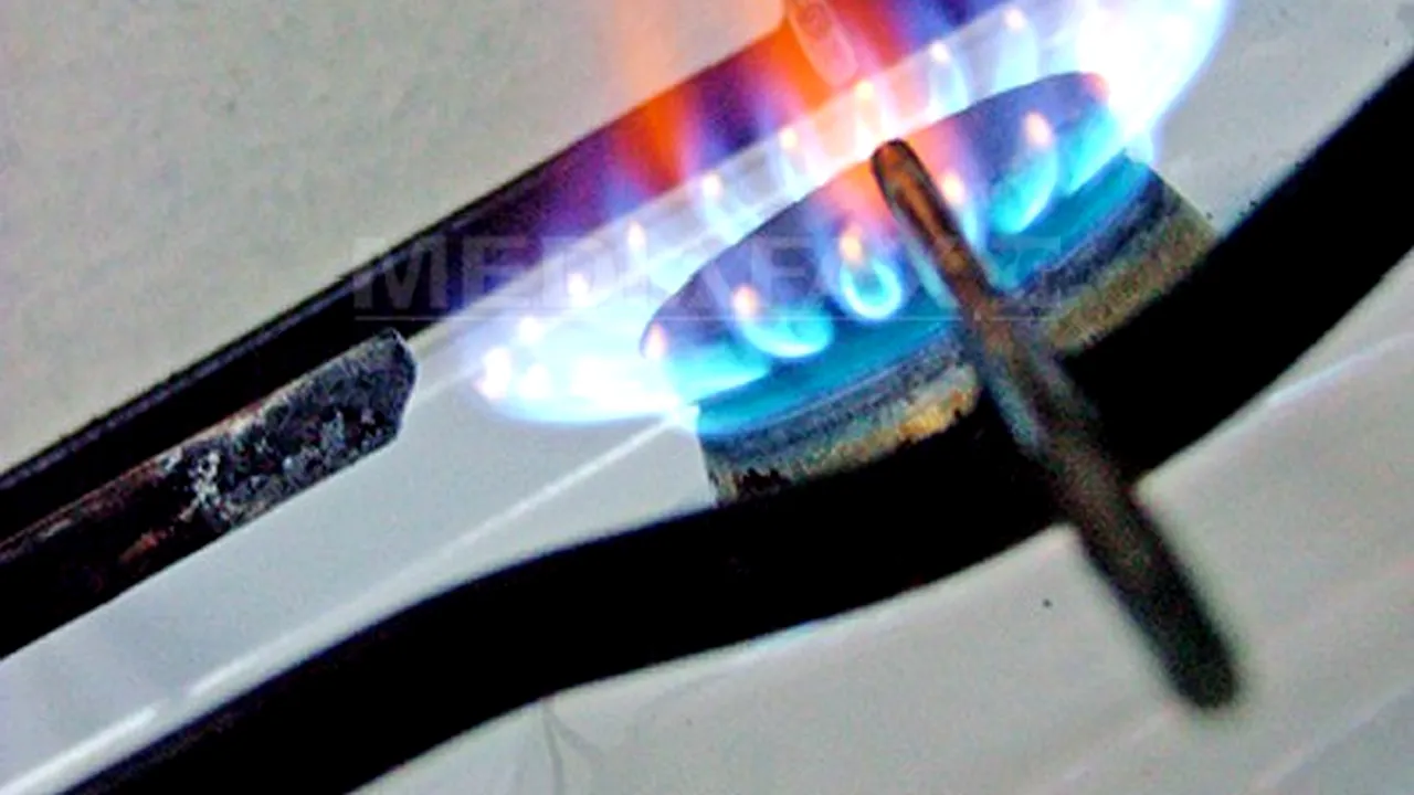 Petrom vrea liberalizarea preţurilor la gaze