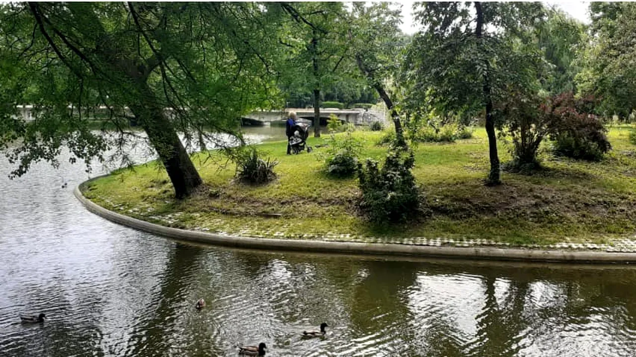 Sistem modern de irigaţii în Parcul Carol din Capitală