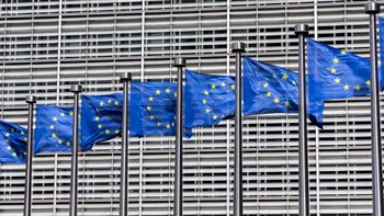 ECONOMIC Cinci state UE cer taxarea profiturilor excepționale ale companiilor din energie