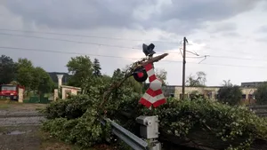 Atenţie, cad copaci: 52 de maşini avariate de pomi doborâţi de vânt 