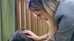 Pisică grav abuzată, adoptată de Ministerul Mediului / „Acest gest este despre responsabilitate, dar și despre puterea exemplului. Leia vine cu o poveste grea”