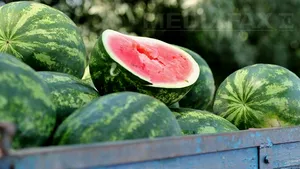 Apostu ar fi primit câte 4000 euro şi produse pentru spaţii oferite vânzătorilor de pepeni