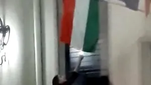 Tânără filmată în timp ce încercă să dea foc steagului Ungariei arborat lângă un sediul UDMR 