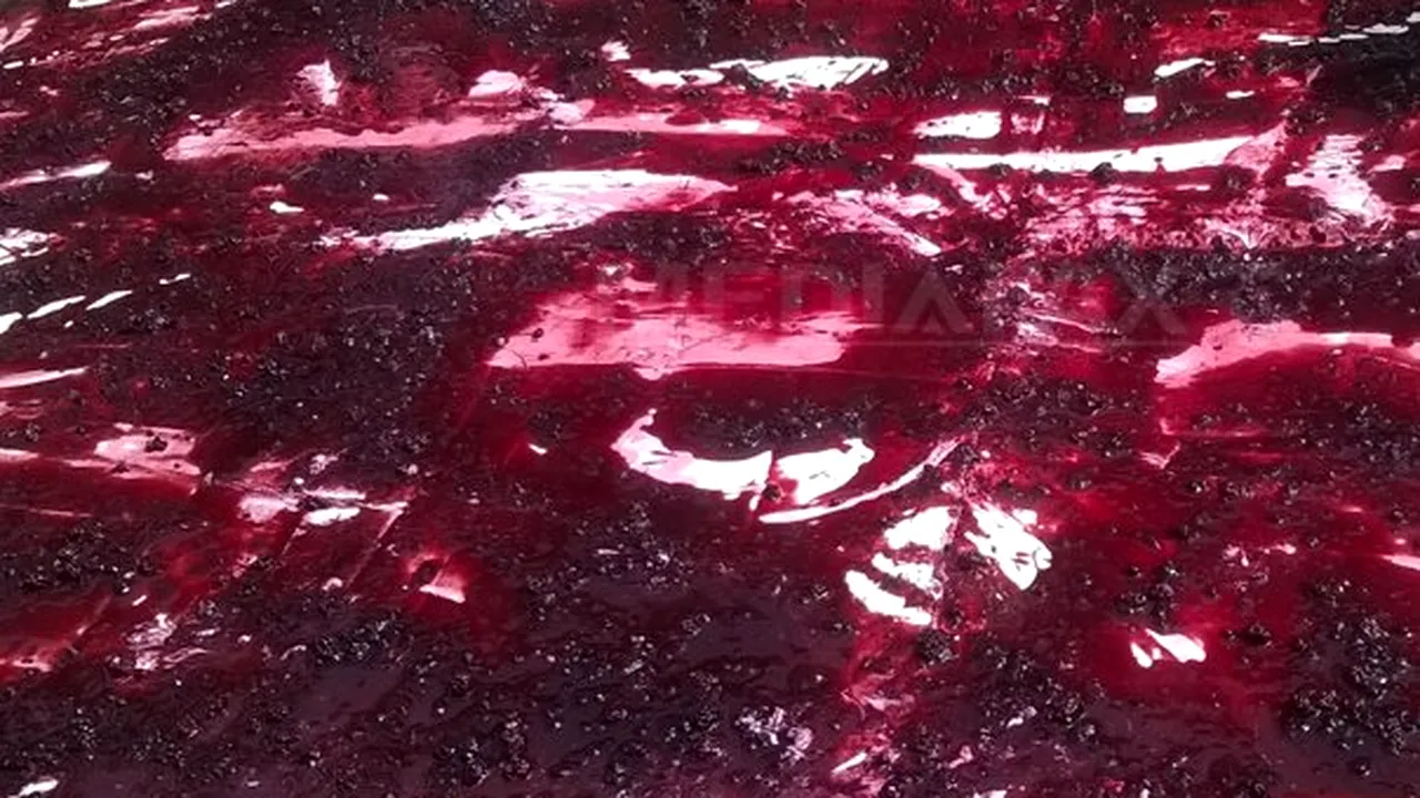Cheesecake de peste 200 de kilograme, pregătit la Zilele Clujului şi împărţit participanţilor - FOTO