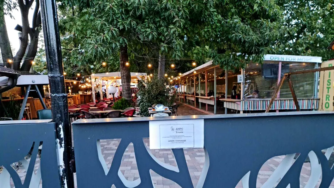Gândaci şi mâncare expirată într-un bistro din sectorul 2 al Capitalei