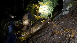 Trei ucraineni, în hipotermie, salvați după ce au rămas blocați patru zile în Munții Maramureșului