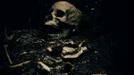 Groapă comună de pe un câmp de luptă din epoca romană, descoperită sub un teren de fotbal din Viena