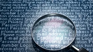 Doi hackeri români, condamnaţi la închisoare în Statele Unite, după ce au „spart” mii de calculatoare din întreaga lume