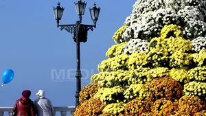 UE adoptă noi sancţiuni care interzic investiţiile şi croazierele în Crimeea